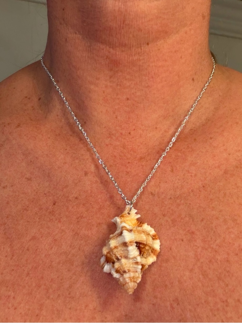 Natural Shell Pendant Necklace - Silver Tone Chain - Cream & Brown
